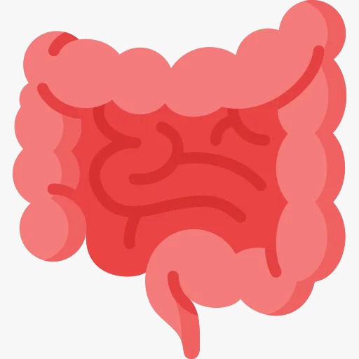 Rabeprazole Levosulpiride Capsule