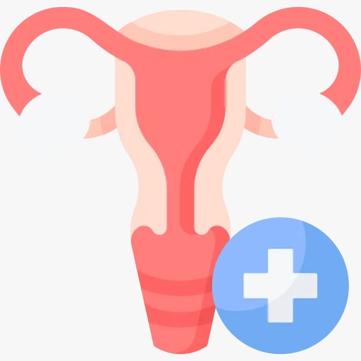 Progesterone Capsule
